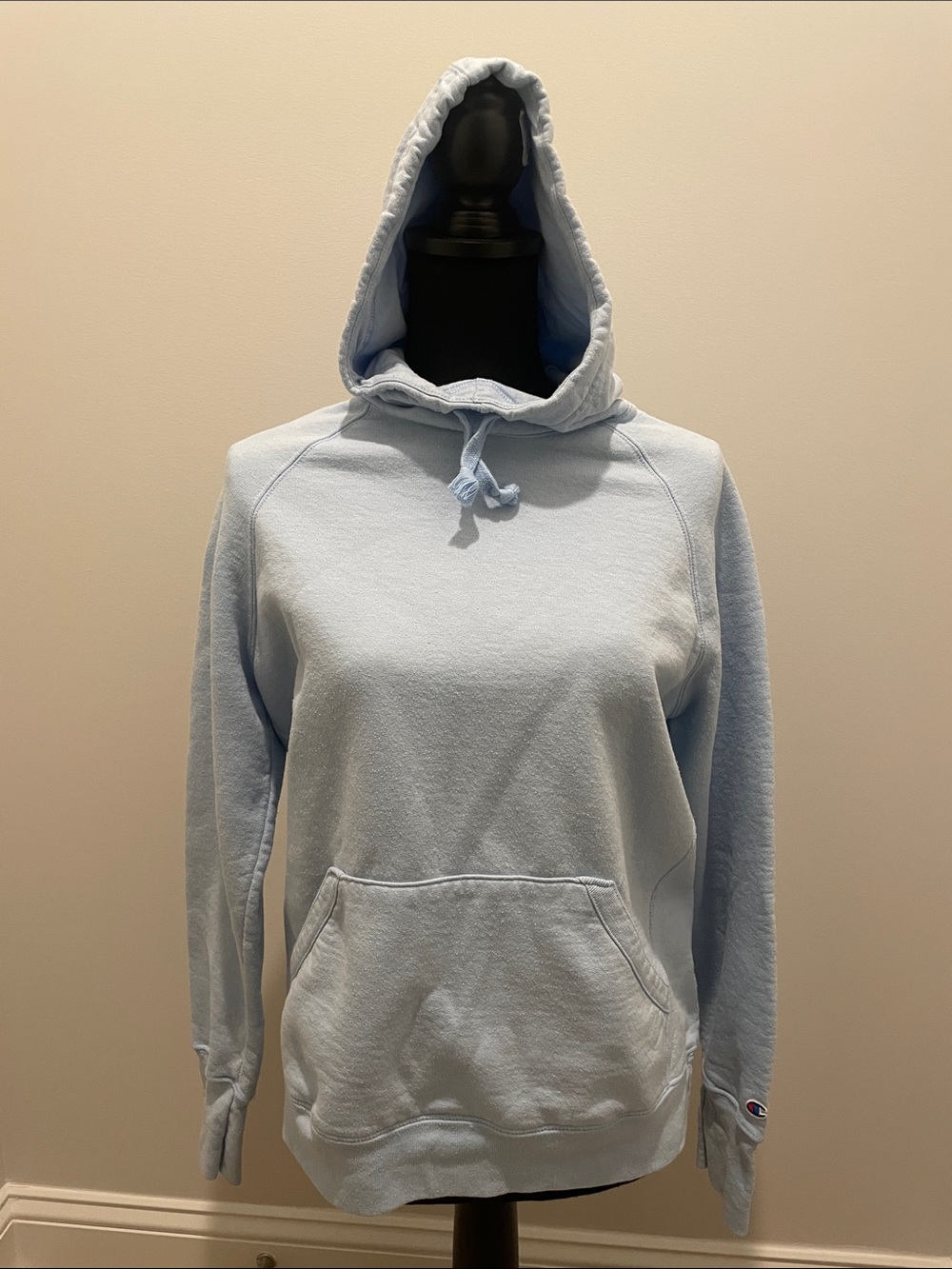 Champion Light Blue Women's Hooded Sweatshirt